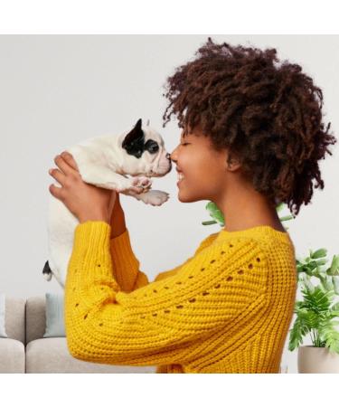 Iv San Bernard Trad Pek Conditioner 250 ml - Nourishing Dog Hair Care for All Breeds | International Shipping Available - Buy Online on SooperMarket.com