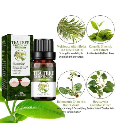 Trendyfave Tea Tree Essential Oils Tea Tree Oil for Skin Anti-Pimples and Acne Moisturizer and Brighten Skin. Tea Tree Oil for Diffuser Humidifier DIY Home Office. Tea Tree Face Oil-10ml - Buy Online on SooperMarket.com