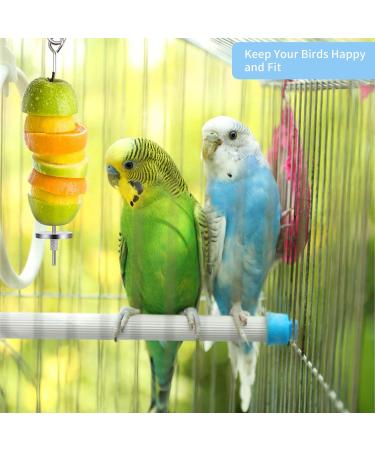 4 Pack Parrot Spit Toys - Stainless Steel Fruit & Vegetable Holders for Budgies & Nymphensittich - Perfect Hanging Feeders for Parrots - Buy Online on SooperMarket.com