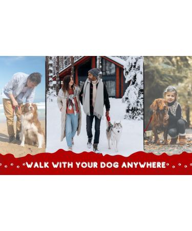 Loutep 5M Dog Training Lead - Durable Nylon Long Line Leash with Padded Handle & Heavy-Duty Swivel Hook - Perfect for Obedience & Outdoor Use - Buy Online on SooperMarket.com