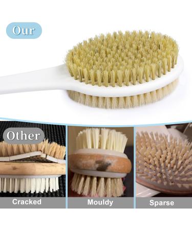 Horjor Long Handle Back Scrubber Brush - Exfoliating Bath Brush for Men and Women - Buy Online on SooperMarket.com