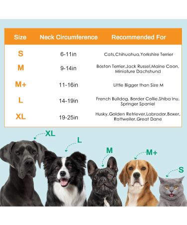 Petyoung Inflatable Dog Cone XL - Anti-Licking Baffle for Dogs After Surgery - Soft Cone for Small, Medium, and Large Breeds (Neck 19-25 in) - Buy Online on SooperMarket.com