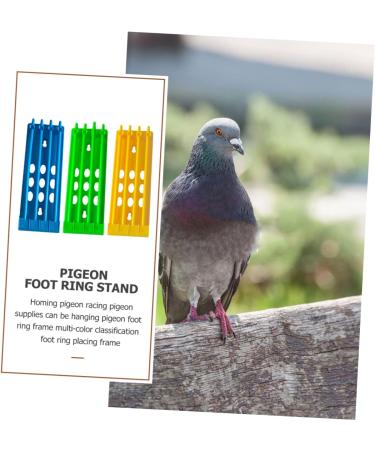 Beavorty 6 Pcs Pigeon Ring Stand Labels Pigeon Ring Bands Racing Pigeon Accessory Racing Pigeon Ring Round 20x7cmx2pcs As Shownx2pcs - Buy Online on SooperMarket.com
