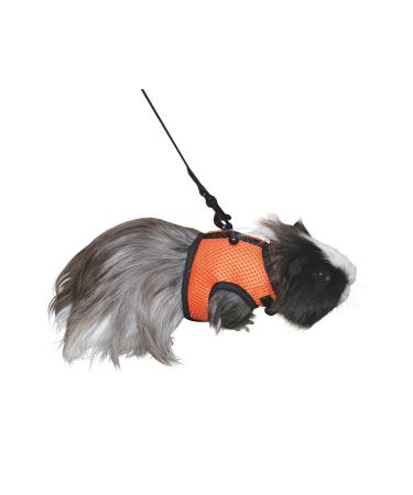 Kerbl guinea pig harness with flexible leash 120cm 22-30 cm / 14-18 cm