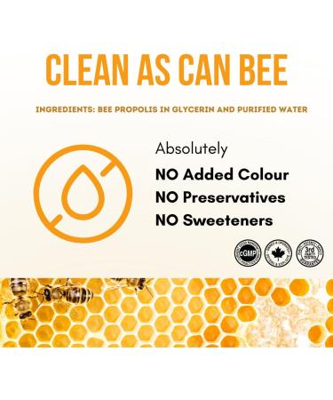 Herba Bee Propolis Liquid Drops 30ml - No Alcohol | Helps Relieve Sore Throats and Mouth Infections | Rich in Flavonoids | 100% Natural - Premium Grade | Made in Canada | Alcohol Free Liquid Drops - Buy Online on SooperMarket.com