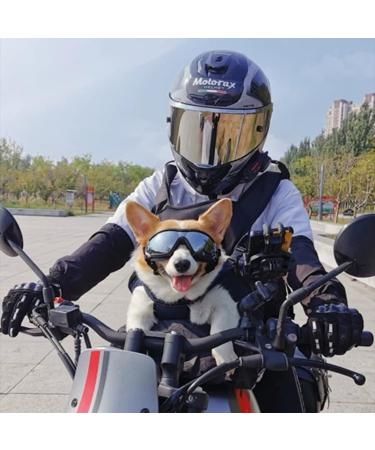 1 Small Pet Sunglasses Dog Overhead Goggles Pet Sunglasses Uv Protection Adjustable Elastic Headband (small Size) - Buy Online on SooperMarket.com