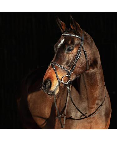 HORZE Weston Padded Leather Horse Bridle with Flash Noseband & Web Reins - Brown | Snaffle Bridle - Buy Online on SooperMarket.com
