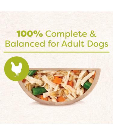 CESAR Wholesome Bowls Wet Dog Food Chicken Carrots Barley & Green Beans 85g Pack of 10 Chicken Carrots & Green Beans 85 g (Pack of 10) - Buy Online on SooperMarket.com