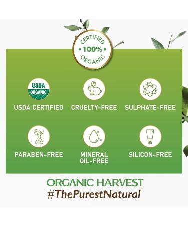Organic Harvest Sunscreen SPF 30 with Blue Light Technology | UVA & UVB Protection | PA+++ | Hydrating & Nourishing | For Oily Skin | 100% Certified Organic | Sulphate & Paraben Free - 100gm - Buy Online on SooperMarket.com