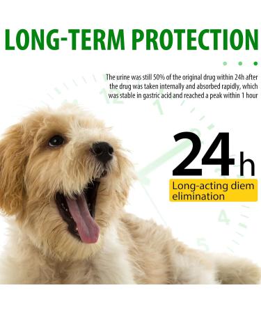 Dog Health Supplement Drops for Allergy Relief, Skin Itch, Kennel Cough, UTI & Ear Infection - Multivitamin Bacon Flavor - 2 Fl Oz - Buy Online on SooperMarket.com