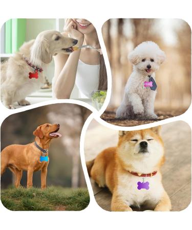 Buy Durable Aluminum Dog Tags & Trailers - 30 Pet ID Tags + 10 Chains for Dogs & Cats - Waterproof & DIY Friendly - Buy Online on SooperMarket.com
