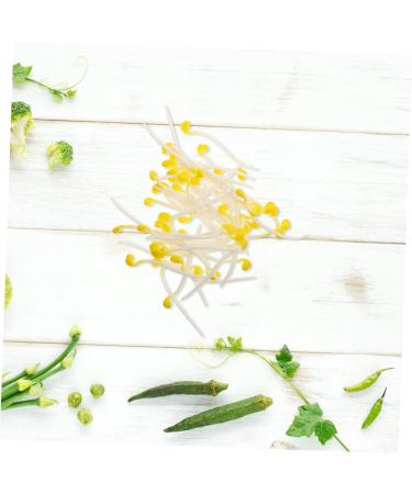 Alipis 200 Pcs Bean Sprouts Toy Bean Sprout Prop Faux Veggies Plastic Models Stress Reliever PVC Fake Food Assorted Color1x4pcs 10X5CMx4pcs - Buy Online on SooperMarket.com