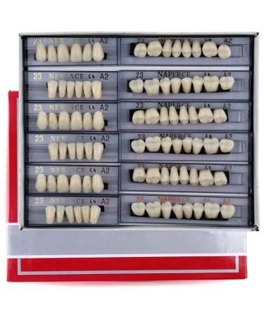 168 Pieces False Teeth Dental Complete Acrylic Resin Denture Teeth  6 Sets Whole Teeth Synthetic Polymer Denture Tooth  23 Shade A2 Upper + Lower Dental Materials for Replacement  DIY  or Halloween