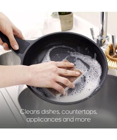 Full Circle Walnut Scrubber Sponge 2 Pack - Eco-Friendly Cleaning, 4.4 x 2.75 - Buy Online on SooperMarket.com