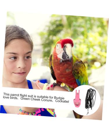 Angoily Parrot Flight Suit & Outfit - Nymphensittich Ara Vogel Pipi-Pad for Pets | Best Windel & Clothing Set for Parrots - Size S 4M - Buy Online on SooperMarket.com