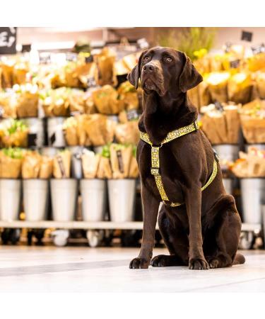 Max & Molly H-Shape Ultra-Comfort Neoprene Harness for Large Dogs - Monkey Maniac | Padded Safe & Stylish - Buy Online on SooperMarket.com