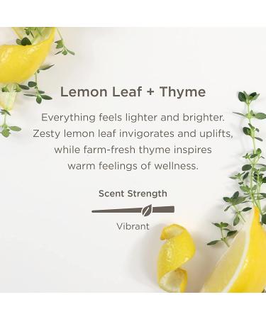 Enviroscent Non-Toxic Air Freshener Refills (Lemon Leaf + Thyme) Pack of 2 - Infused with Essential Oils - Plug-in Plug Hub - 2 Count - Buy Online on SooperMarket.com