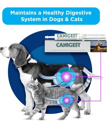 CANIGEST Probiotic Paste for Cats and Dogs - 30ml | Easy-to-Administer Tummy Settler with Probiotics, Prebiotic, Glutamine, Kaolin & Pectin - Buy Online on SooperMarket.com