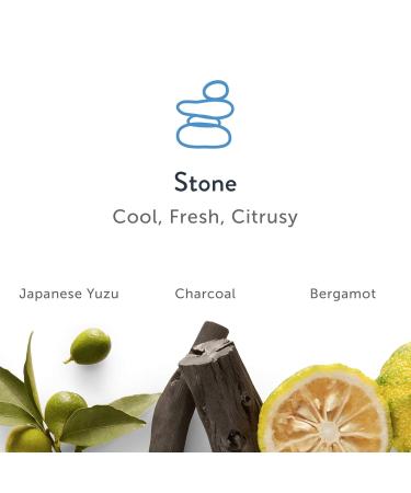 Harry's Men's Deodorant - Odor Control Deodorant - Aluminum-Free - Variety - Stone Fig Redwood (2.5 Ounce (Pack of 3) Aluminum Free - Discontinued Variety Pack - Stone Fig Redwood - Buy Online on SooperMarket.com