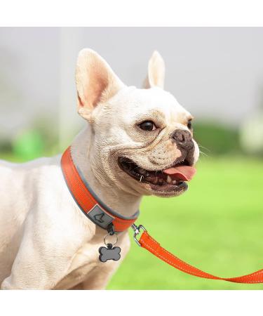 Joytale Softly Padded Neoprene Dog Collar for Small Dogs - Reflective Nylon Orange S (1 Pack) | Best International Shipping - Buy Online on SooperMarket.com