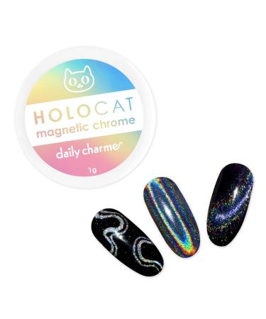 Daily Charme Holographic Cateye Magnetic Nail Chrome Powder 1g 3-in-1 Nail Magnetic Powder Pigment Holographic Rainbow Cat Eye Effect Home DIY/Nail Salon Manicure (Holographic Silver) Holographic 1 Gram