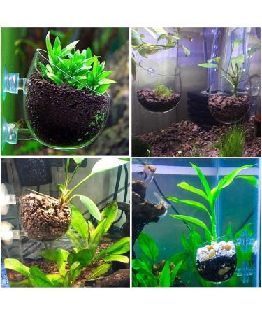 Capetsma Aquarium Plant Pot Glass - 1 Pack with 2 Suction Cups for Stunning Fish Tank Decoration - International Shipping Available - Buy Online on SooperMarket.com