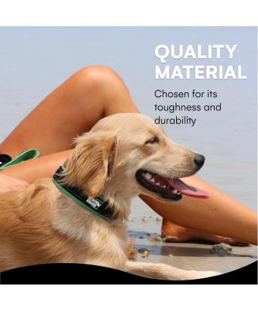 Black Rhino Comfort Collar | Super Soft Neoprene Dog Collar for All Breeds | Adjustable Reflective Weatherproof - Aqua/Gray Small - Buy Online on SooperMarket.com