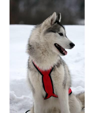 Northern Howl X-Back Dog Harness - XL Red for Canicross Bikejoring Skijoring & Dogscooting - International Shipping Available - Buy Online on SooperMarket.com