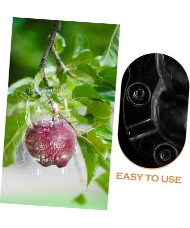 ORFOFE 2pcs Shaped Growth Fruit Buddha Baby Shaper Small Watermelon Accessories - Buy Online on SooperMarket.com