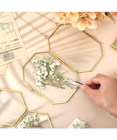 Dried Babys Breath Flowers Bulk - 200 Pcs Ivory White Gypsophila for Wedding, Christmas, and Crafts - Buy Online on SooperMarket.com