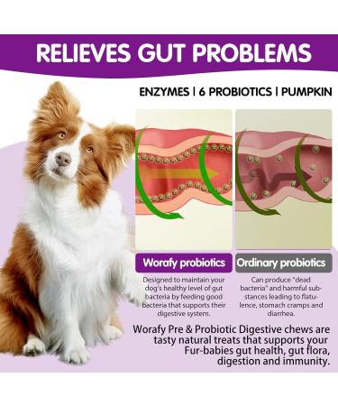 Tioueo Probiotic Digestive Chews 120pcs - Digestive Harmony, Skin Comfort, Allergy Relief, Immune Boost for Dogs - Ultimate Canine Wellbeing - Buy Online on SooperMarket.com
