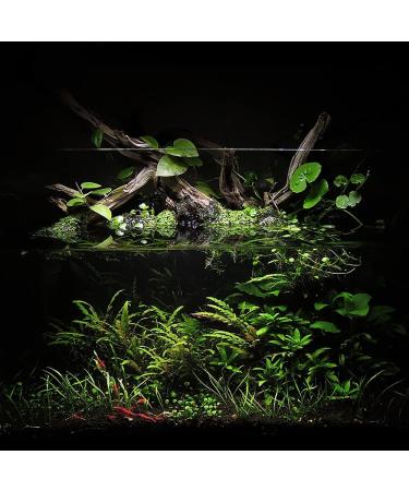 Ultum Nature Systems Controsoil 3L/6lbs - Planted Aquarium Substrate for Freshwater Plants, Shrimp, Aquascape - Black Fine - Buy Online on SooperMarket.com