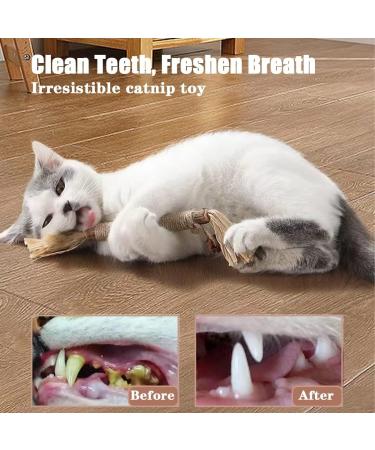 Tsathoggua 4 pcs Matatabi Silvervine Chew Sticks Natural Cat Chew Toy Catnip Toy for Cats Cat Sticks Cat Teeth Nip Cat Teeth Cleaning Kitty Dental Chew Stick Kitten Teething and Stress Release - Buy Online on SooperMarket.com