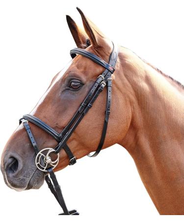 John Whitaker Barton Bridle Raised Flash Havana Pony