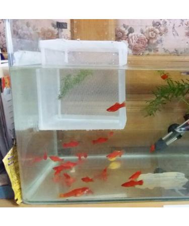 XMHF White Nylon Mesh Fish Fry Hatchery Breeder Box - Separation Net - Buy Online on SooperMarket.com