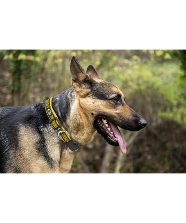 NFL Green Bay Packers X-Large Dog Collar with Anti-Open Safety Lock - Super Tough - Buy Online on SooperMarket.com