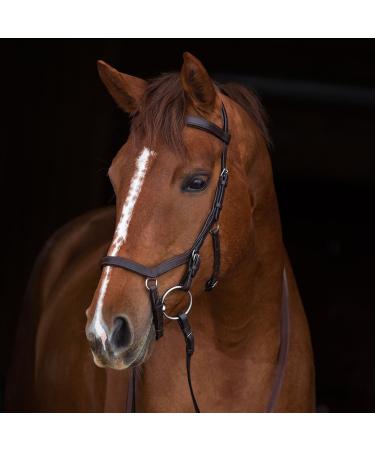 Ireland Rambo Micklem Competition Bridle Dark Havana Large Horse
