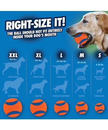 Chuckit! Ultra Tug Dog Toy | Large Rubber Ball Interactive Fetch & Tug Toy - Buy Online on SooperMarket.com