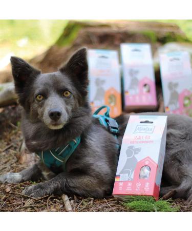 Mjamjam Premium Dog Snackbox - Natural Lamb Treats 70g | No Synthetic Preservatives - Buy Online on SooperMarket.com
