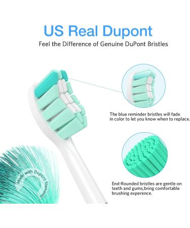 Senyum Replacement Toothbrush Heads for Philips Sonicare - 8 Pack White | Compatible with Sonic Care Snap-On | Electric Toothbrush Heads Refill - Buy Online on SooperMarket.com