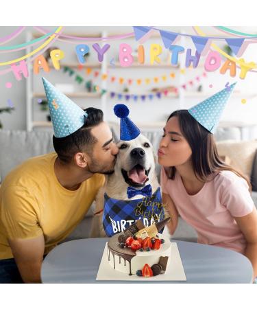 Dog Birthday Hat & Bandana Set - 3pcs Blue Dog Party Accessories for Boys & Girls - Perfect for Puppies & Cats - Buy Online on SooperMarket.com
