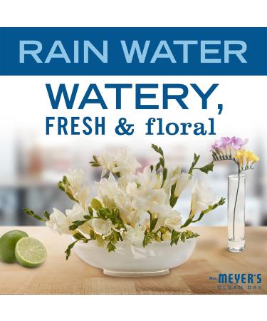 MRS. MEYER'S CLEAN DAY Liquid Dish Soap Refill - Biodegradable Rain Water 48 fl. oz - Eco-Friendly Dishwashing Solution - Buy Online on SooperMarket.com