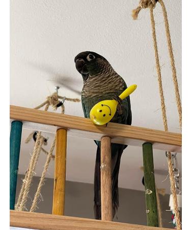 WACURRENTHYD 3PCS- Colourful Mini Ball Sand Hammer Parrot Rattle Shaker Musical Sound Toy Intelligent Sand Hammer Toys for Parakeets Canaries Cockatiels Conure Lovebirds(Random Color) - Buy Online on SooperMarket.com