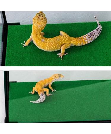 PINVNBY Reptile Carpet Lizards Bedding Pet Cage Mat Supplies Geckos Terrarium Substrate Liner for Chamelon Bearded Dragon Turtles Iguana Snakes 2PCS (green) - Buy Online on SooperMarket.com