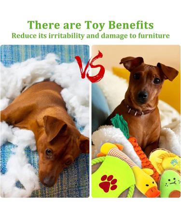 Jotol Dog Toy Set - 20PCs 100% Natural Cotton Interactive Toys for Dental Care | Best Pet Rope Toys for Small & Medium Dogs - Buy Online on SooperMarket.com
