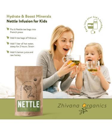Organic Stinging Nettle Tea - 100 Bags - Joint & Blood Sugar Support, Allergy Relief - Urtica Tea - Buy Online on SooperMarket.com