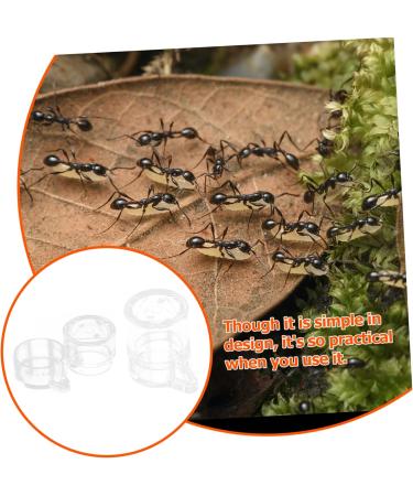 SEWOART 2pcs Ant Water Feeder Ants Ant Nest Water Feeder Ant Liquid Feeder Pet Waterer Transparent Acrylic - Buy Online on SooperMarket.com