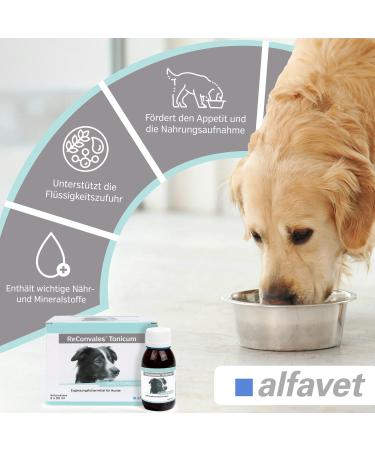Alfavet Reconvales Tonicum for Dogs | Appetizing Supplementary Feed for Convalescence & Weight Gain | 6 x 90 ml Bottles - International Shipping Available - Buy Online on SooperMarket.com