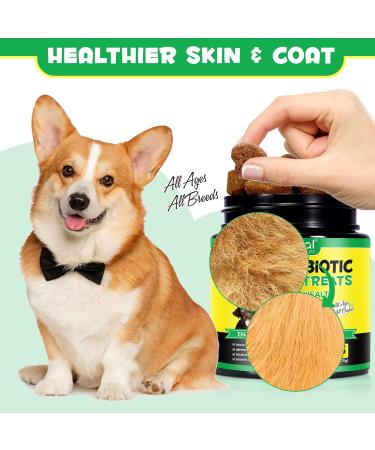 Oimmal Probiotics for Dogs Gut Health - 30pc Digestive Treats for Dog Support Seasonal Allergies Itchy Ears Dog Probiotic Supplement Soft Chews Improve Pet Immune System Dogs - Duck Flavour - Buy Online on SooperMarket.com