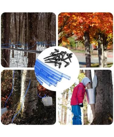 Tubes Maple Syrup Supplies 27.5 * 25 * 5cm Maple Syrup Tree Tapping Kit Maple Syrup Taps Food Grade Non-slip Tapping Kit L-shaped Tree Taps for Syrup Supplies - Buy Online on SooperMarket.com